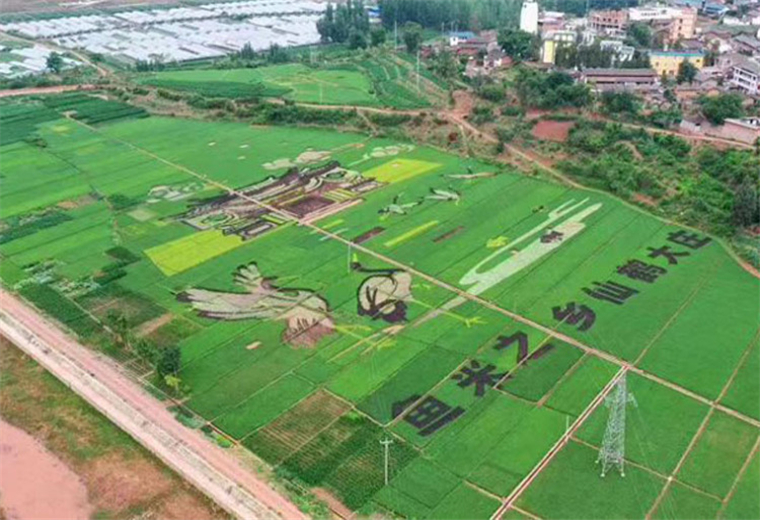 休闲观光农业.jpg
