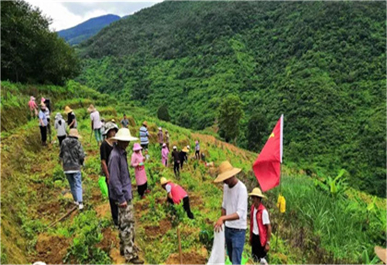 基层.jpg