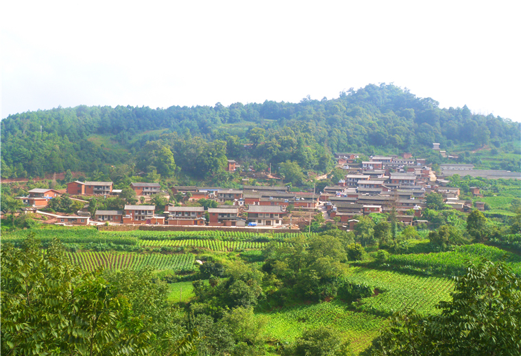 美丽村庄李方村.jpg