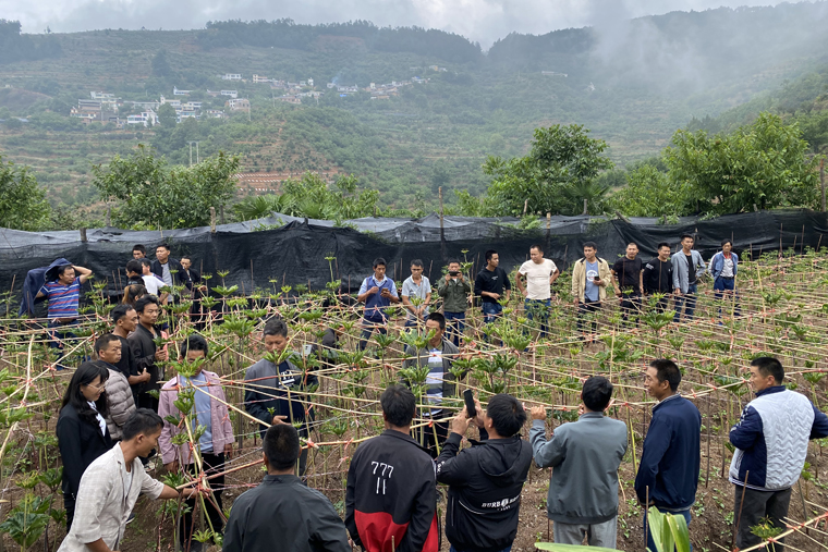 中药材产业交流研讨会 (35).jpg