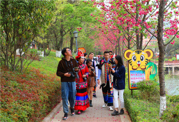 漫步樱花大道.jpg