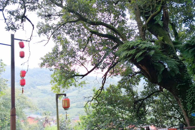 封底：寂静的李方村（尹文娟摄）.jpg