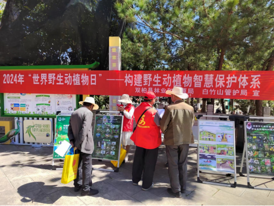 半岛BOB双柏县林业和草原局开展“世界野生动 植物日”宣传活动(图2)