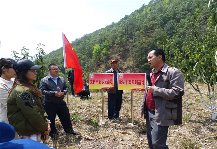 农村党员实训基地开展技能培训.jpg
